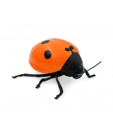 Adorno Orange Ladybird...