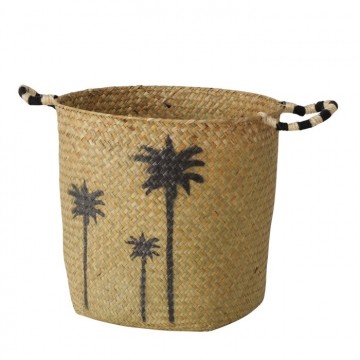 Cesta Palmera